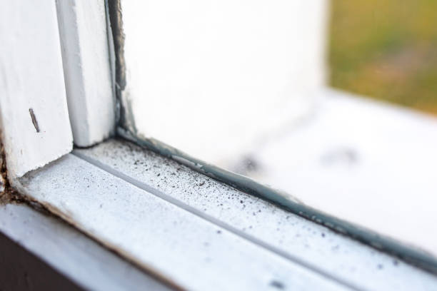 Best Post-Remediation Verification Testing  in Ringwood, NJ